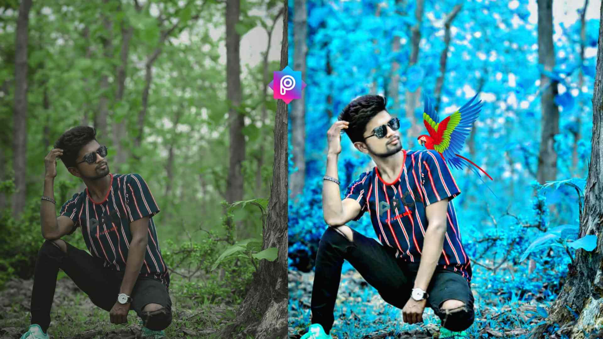 Picsart Bird Photo Editing